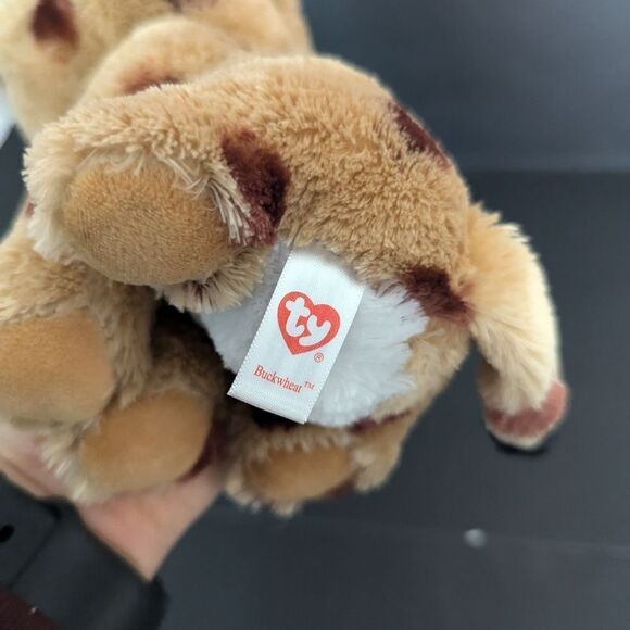 TY Beanie Boos Buckwheat the lynx with tags 9" - Picture 7 of 8